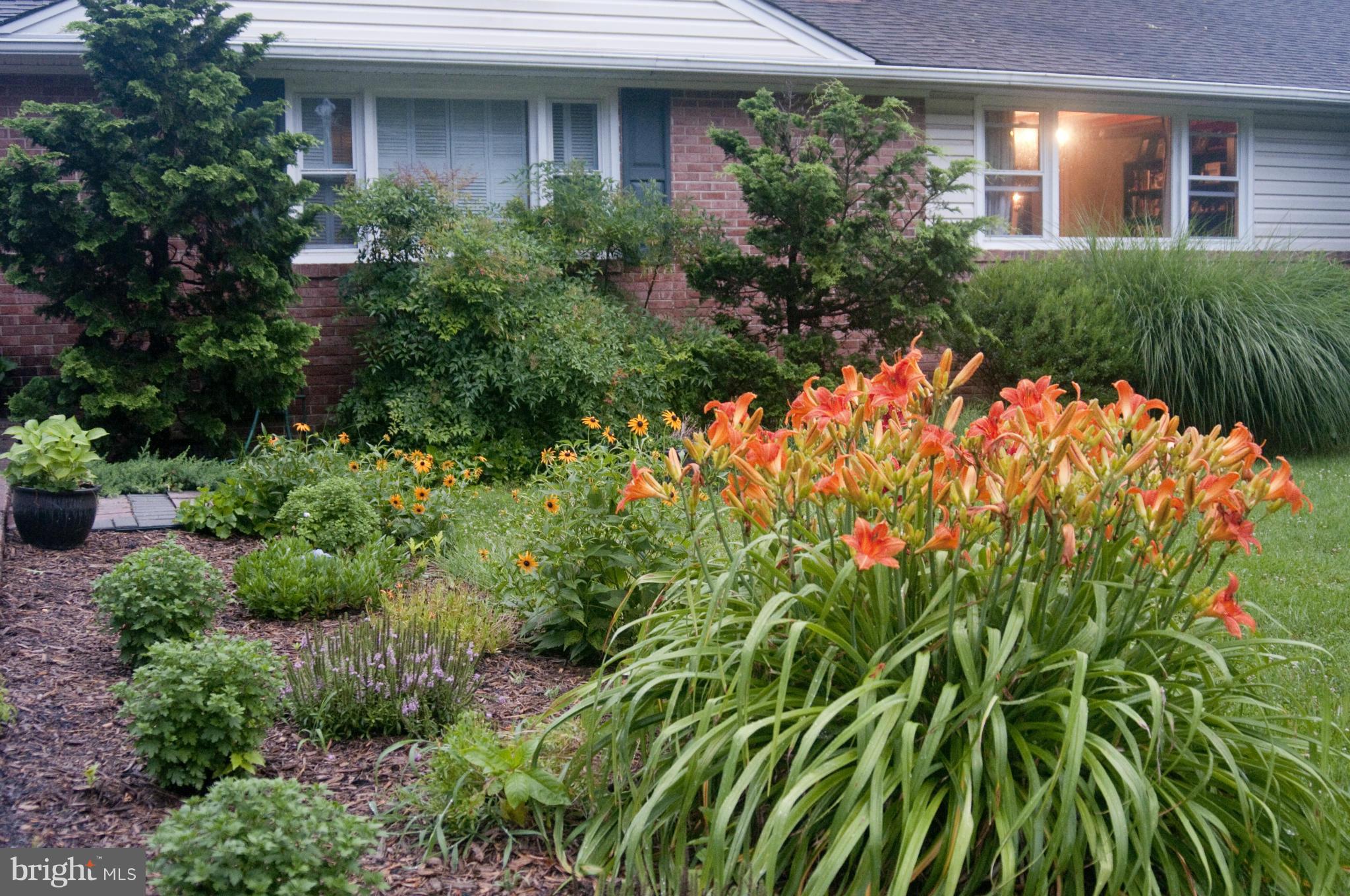 BARROS CIRCLE - Residential