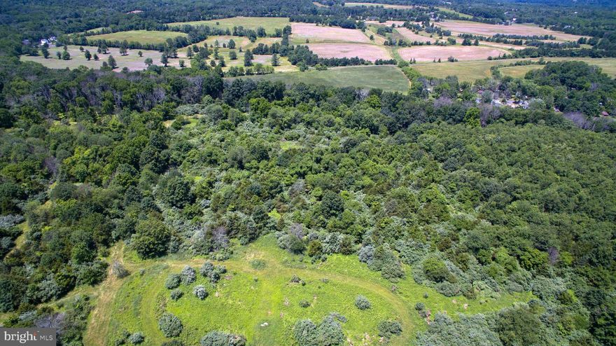 Two for the price of one!  A rare opportunity to purchase over 76 acres of partially wooded land in historic Bucks County, complete with two dwellings and a pool as well as a detached garage.  Renovate/expand one and keep the other for guests, in-laws, or passive income, or build a custom home on the sprawling land overlooking the Tohickon Creek.  Secluded yet close to major commuting roads such as PA-611 and I-78, this property is 72 miles from downtown New York City, 41 miles from center city Philadelphia, and 26 miles from Allentown, PA.  Just a 20 minute drive from the center of historic Doylestown Borough, enjoy miles of scenic back country roads and covered bridges, as well as the fine dining and cultural attractions of the greater upper and central Bucks County region.  The first home is located near the gated driveway and consists of a two story, two bedroom home with a one car garage, and has formal living/dining rooms and a first floor bonus room great for an office.  The second home offers an in-ground pool and flexible floor plan that could lend itself to two bedrooms, and would make an excellent 'party house' right off the swimming pool.  A detached two car oversized garage would be great for a collector, with high ceilings for lifts, and plenty of space to expand the structure.  Opportunity knocks!