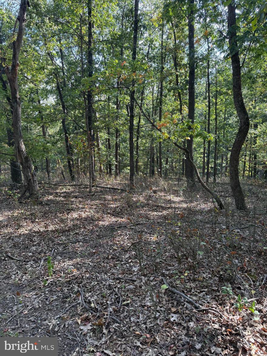 Large lot available! WELL ON SITE! Over 8 acres for sale in Northern Frederick County, VA at the top of The Shenandoah Valley! Perfect for building or recreation/hunting. Turkey, deer and other wildlife abound.  Only 20 minutes from Winchester! 20 minutes from Berkeley Springs, WV!  Looking for that perfect get-a-way spot to enjoy wildlife and nature? This may be it! Lot is fully wooded. Ideal location for your year-round home or weekend escape or even just a tree-stand.  Also, if you're an Equestrian, there are farms and horses along Light Rd. and stables in the area.  Located off of scenic Light Rd. north of the Gainesboro area. So many possibilities for this lot! Seller also has a beautiful  home for sale withing walking distance.

If the lot is cleared correctly, you will have a breathtaking view of the foothills of the Appalachian Mtn Range and the Valley Province.  Gorgeous lot!!  So peaceful!!