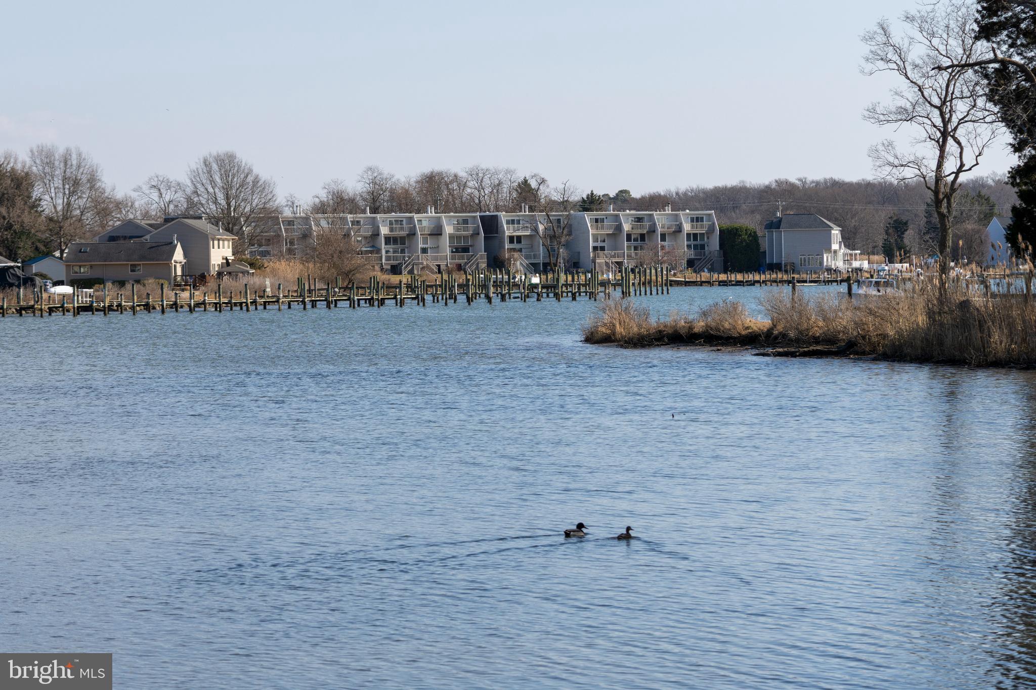 ELLENDALE - Residential