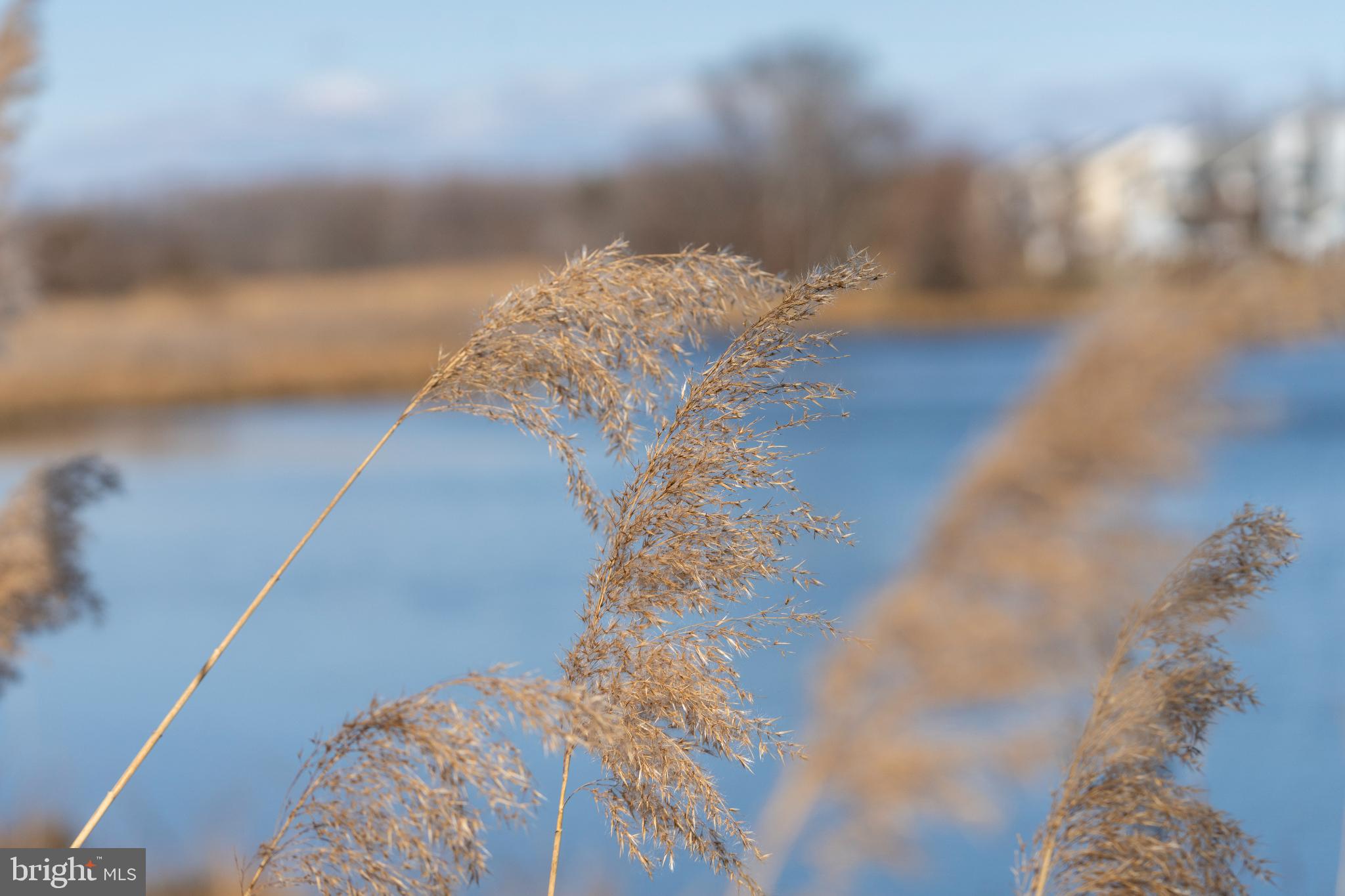 ELLENDALE - Residential