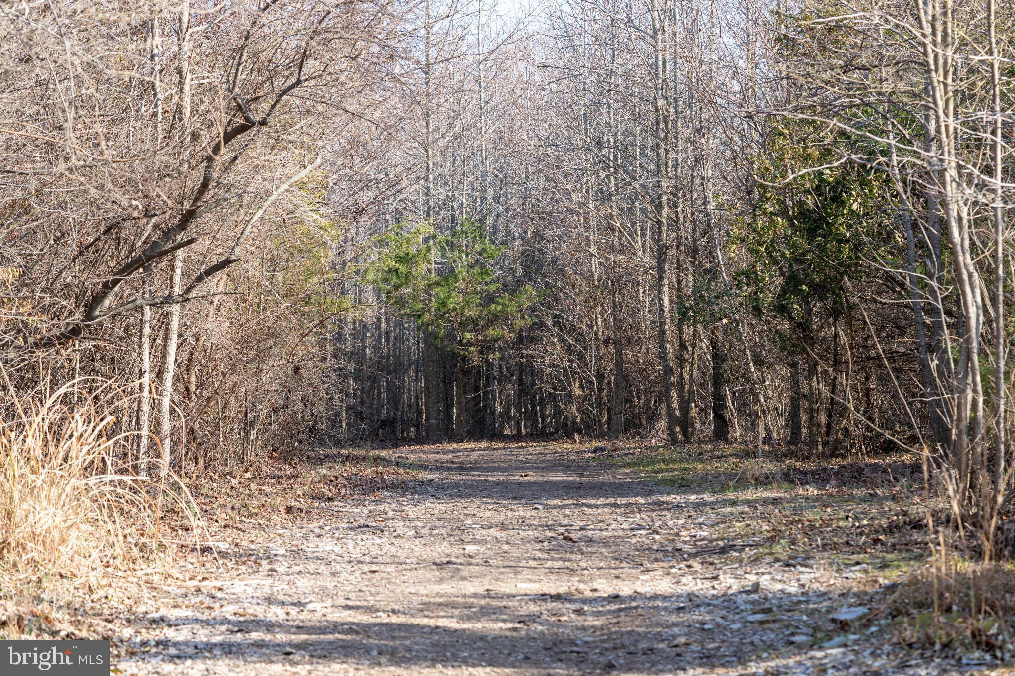 ELLENDALE - Residential