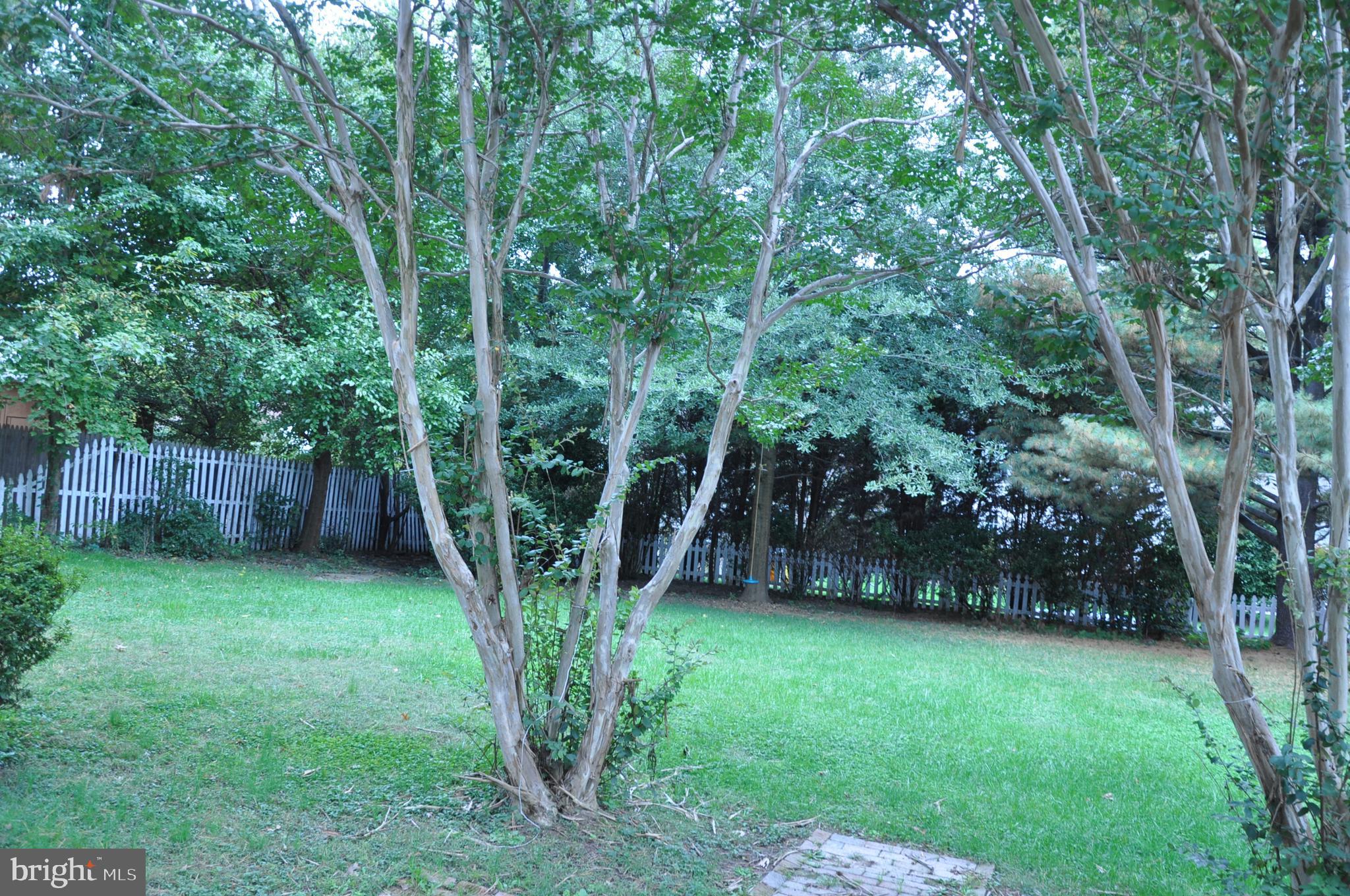 PHEASANT RUN - Residential Lease