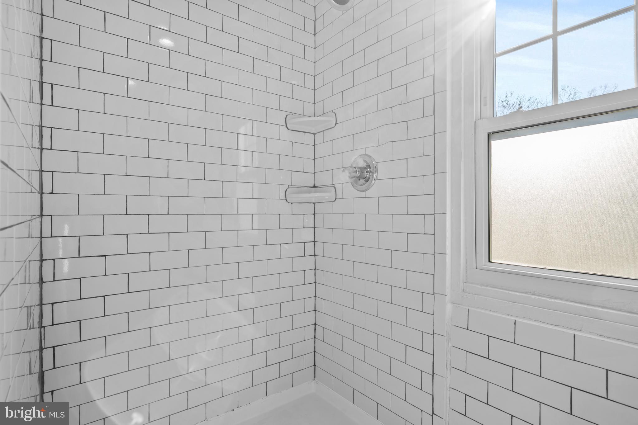 MOUNT RAINIER - Residential