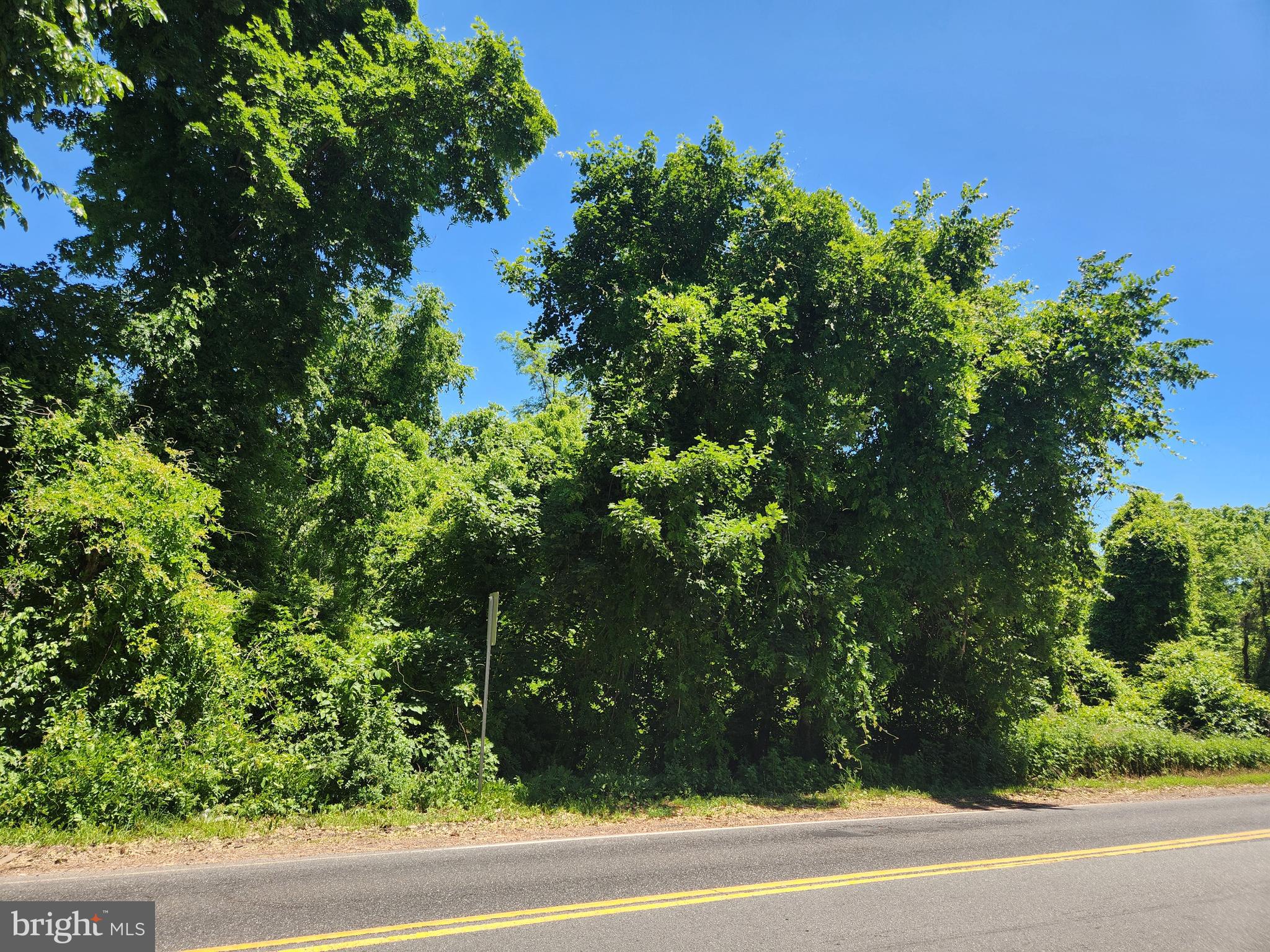 10 & 6 CARTER ROAD