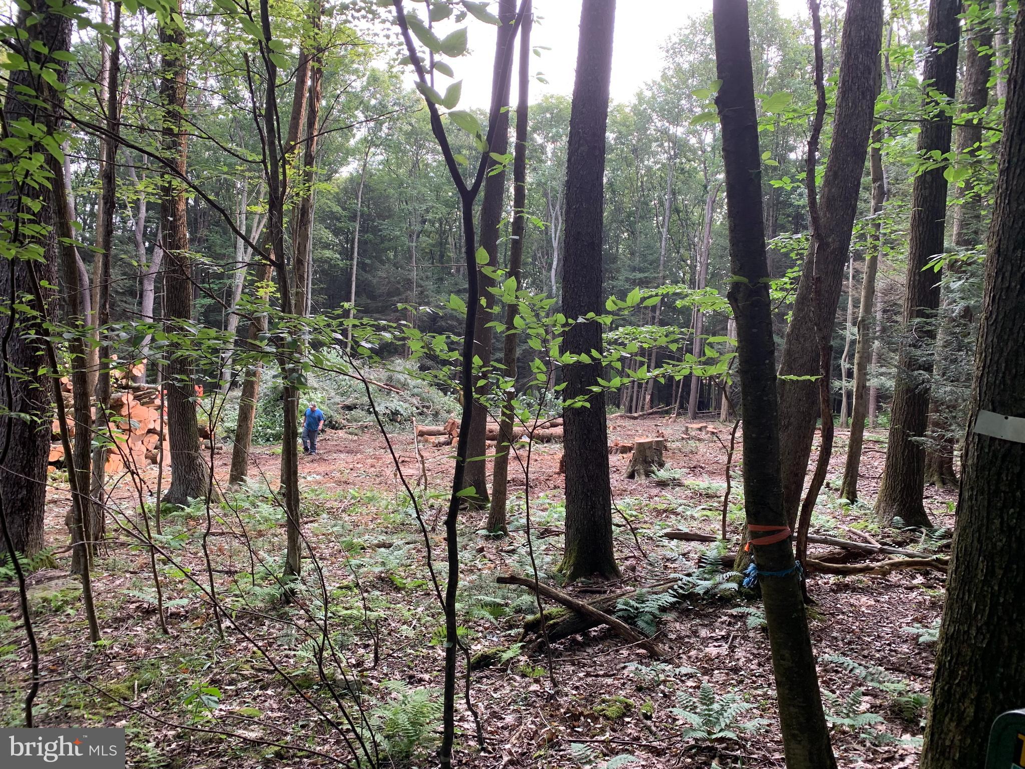 DEERFIELD - Residential