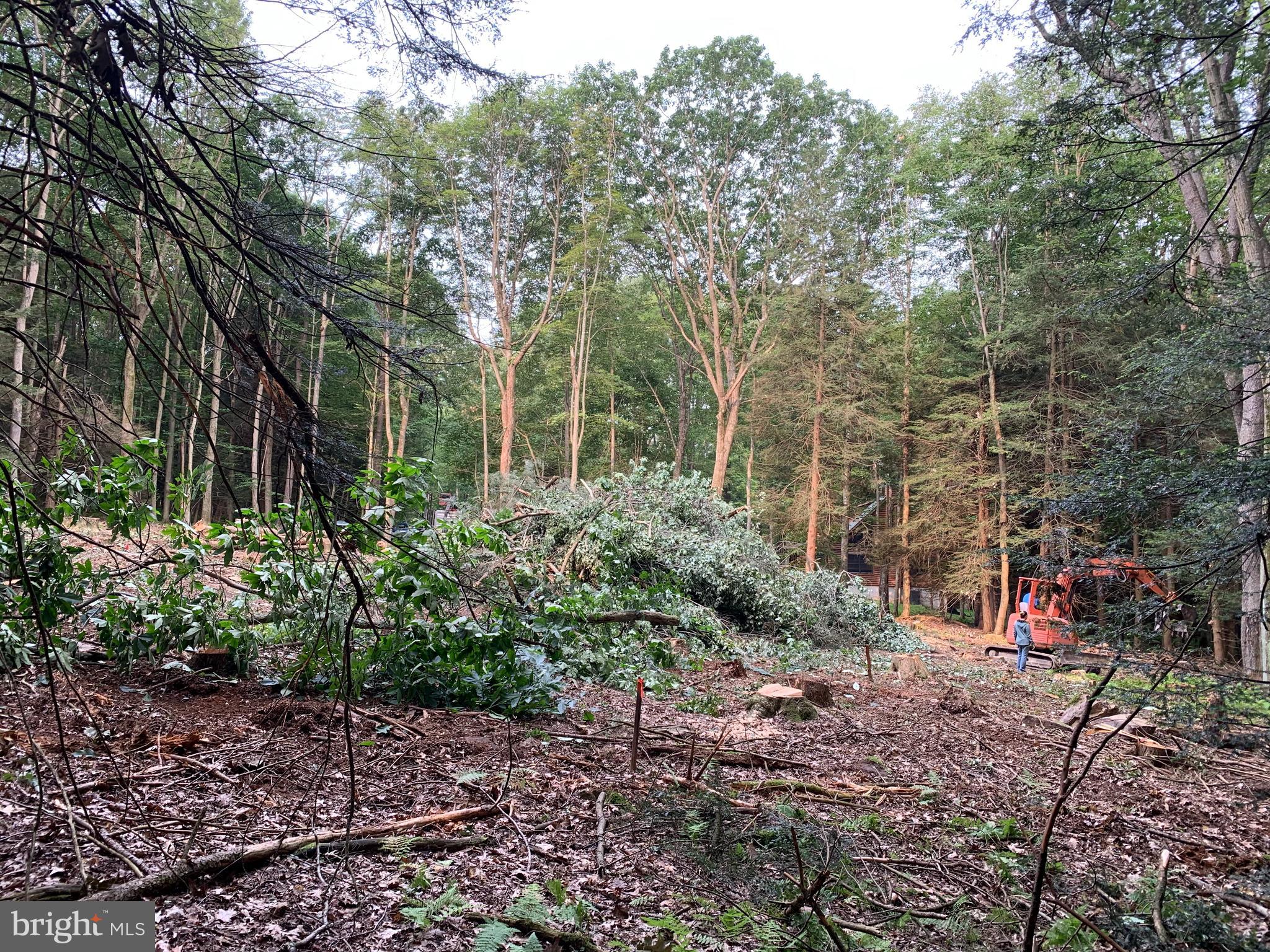 DEERFIELD - Residential