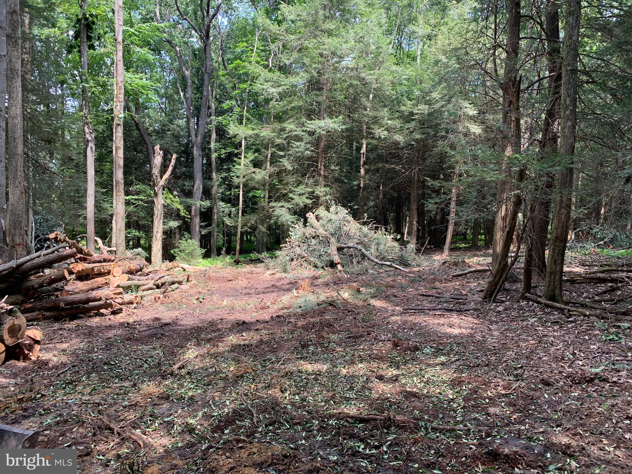 DEERFIELD - Residential