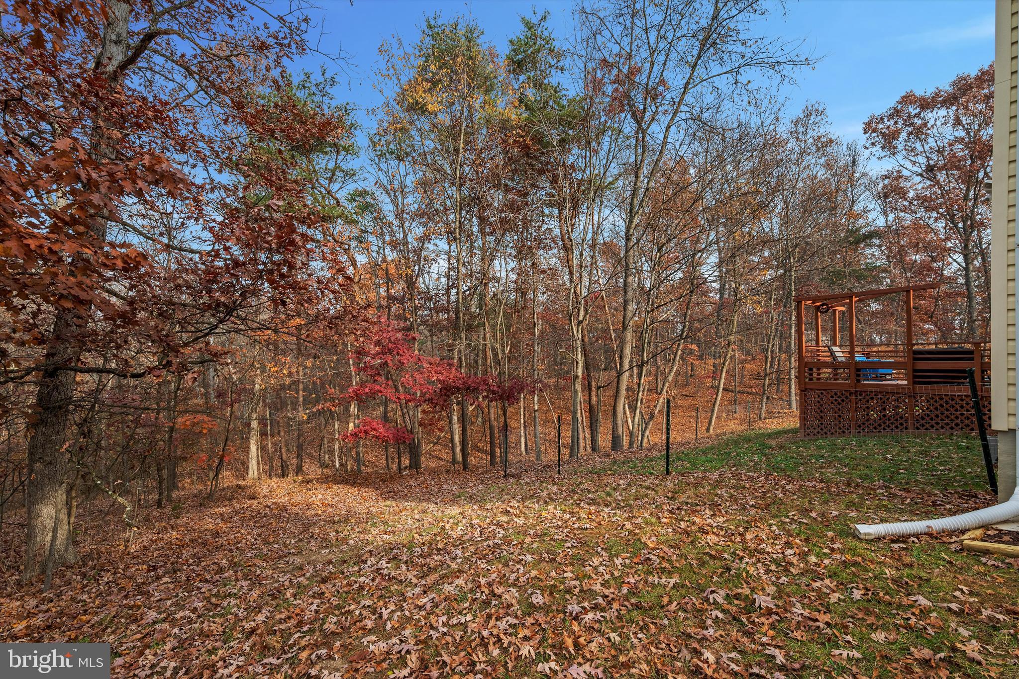 FOREST HEIGHTS - Residential