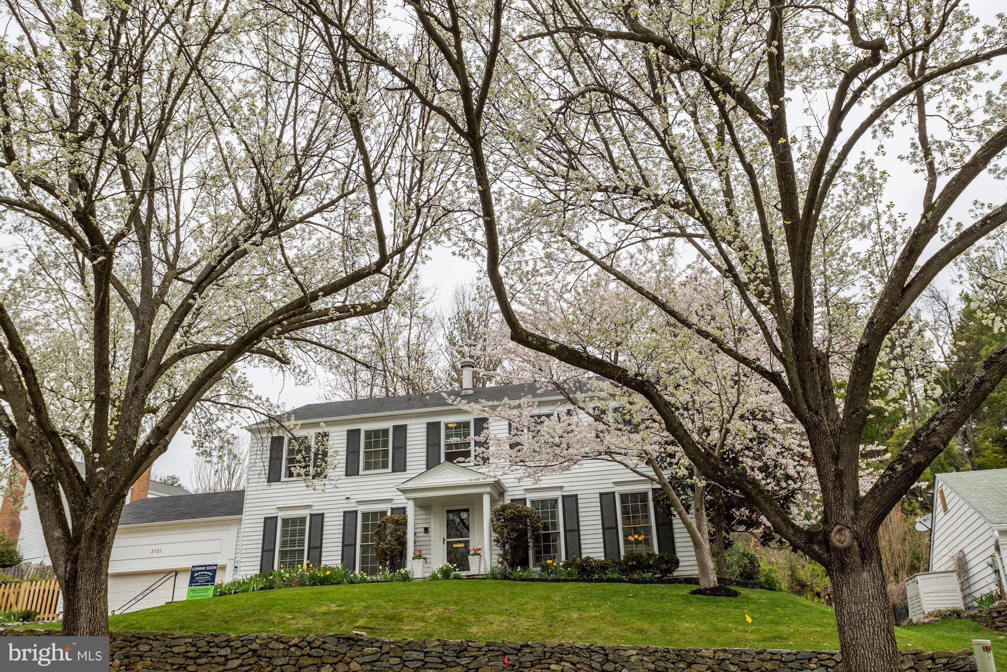 SEMINARY RIDGE - Residential