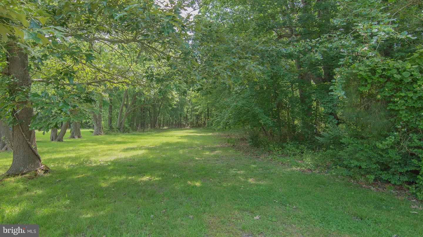 ROYAL OAK - Residential