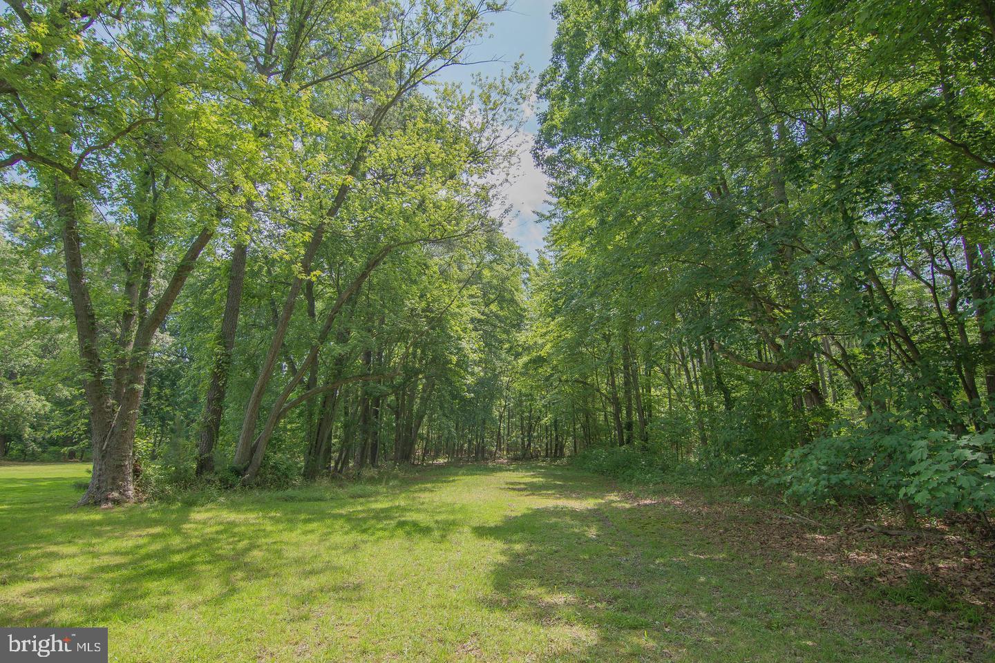 ROYAL OAK - Residential