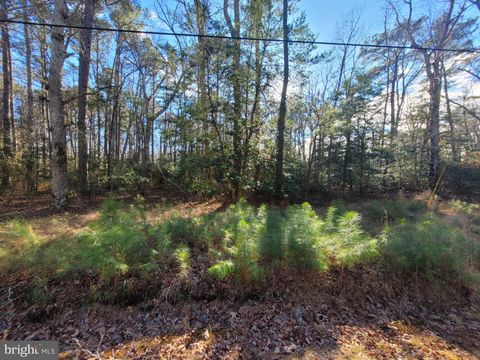 Vacant Land For Sale - 00 Elmington Place<br/> HEATHSVILLE, VA 22473