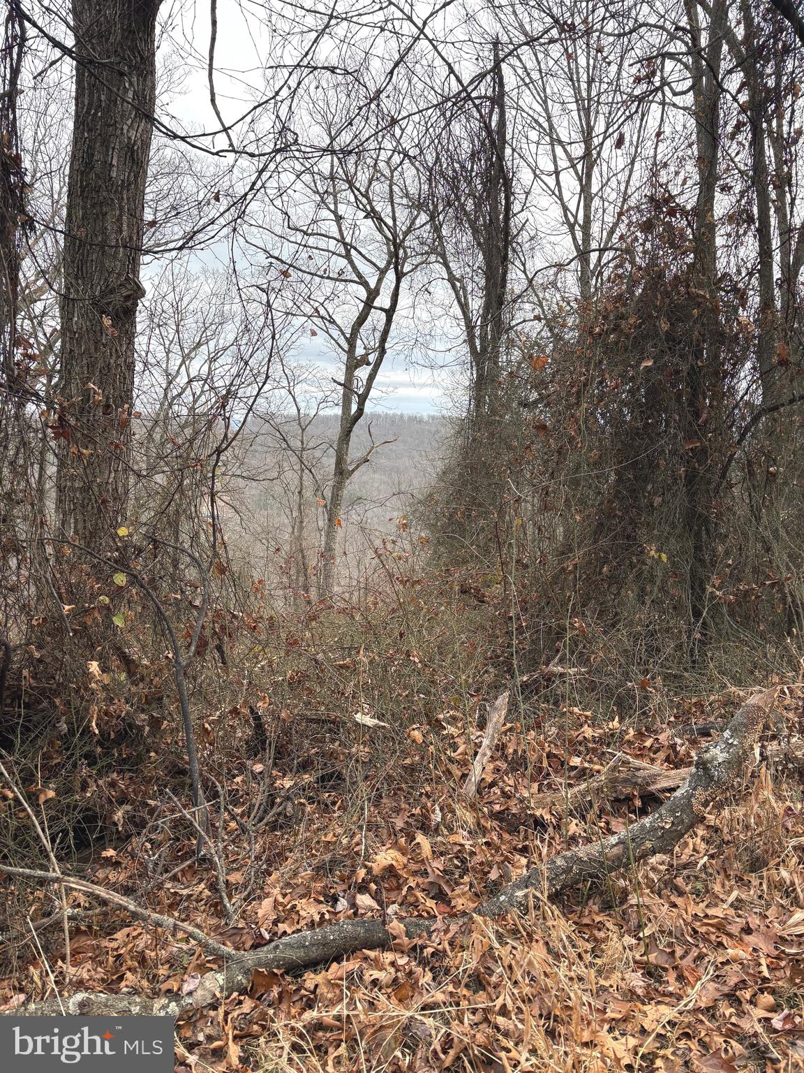 PCL 19, Section 9 DEHAVEN ROAD