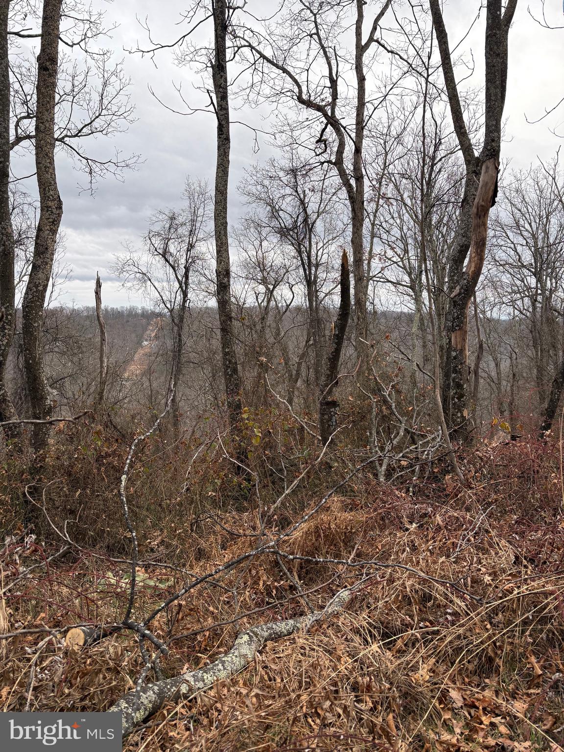 RITTER'S HIDDEN VALLEY - Land