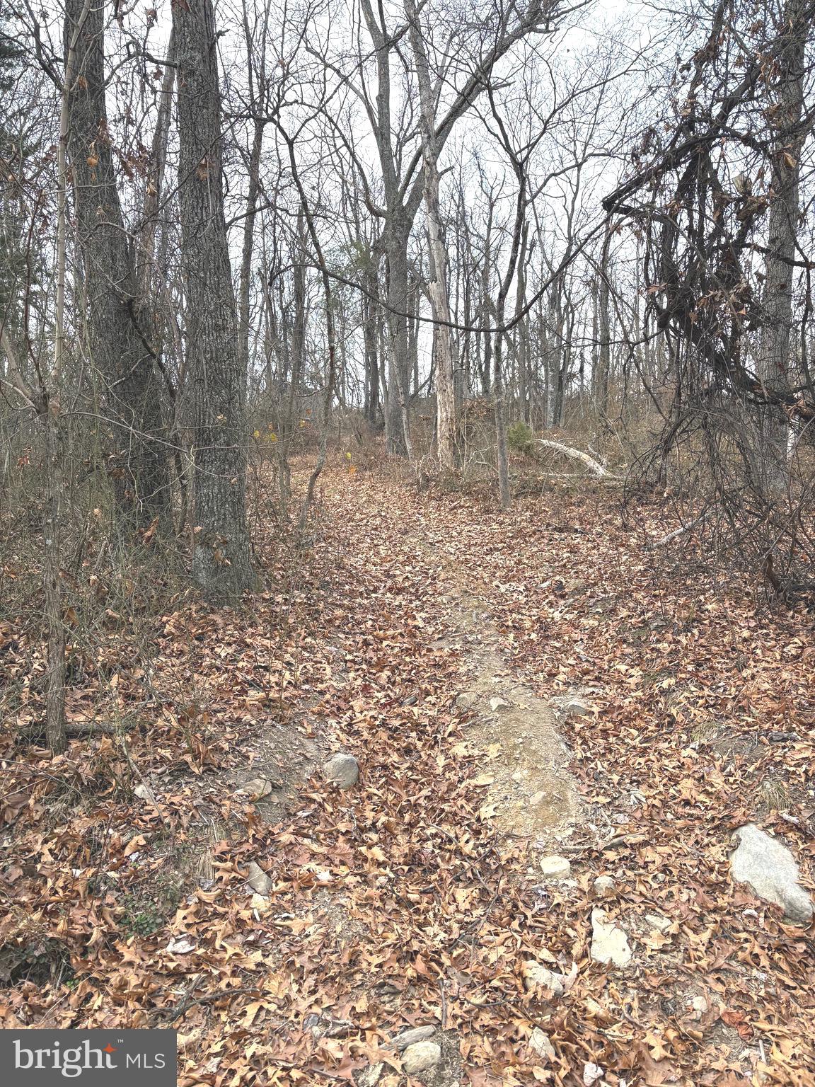 PCL 19, Section 9 DEHAVEN ROAD