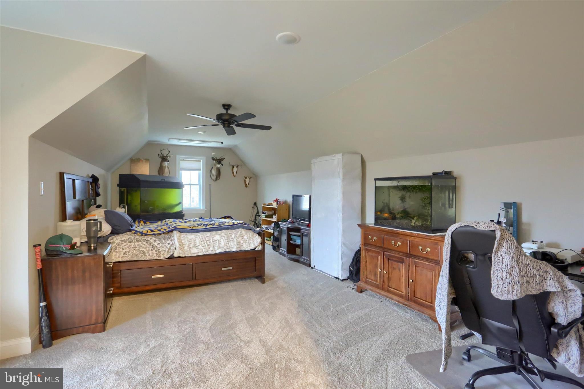 LINDENWOOD - Residential