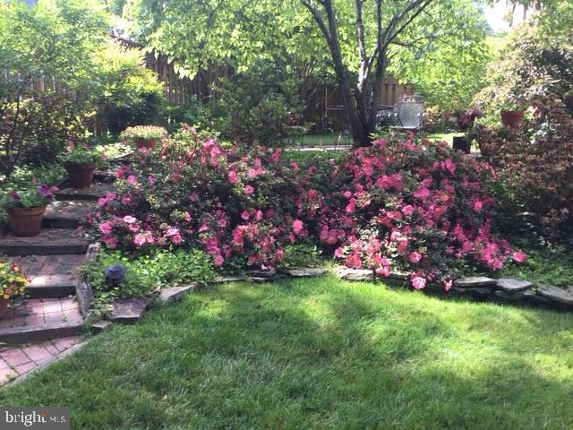 DAWSON TERRACE - Residential