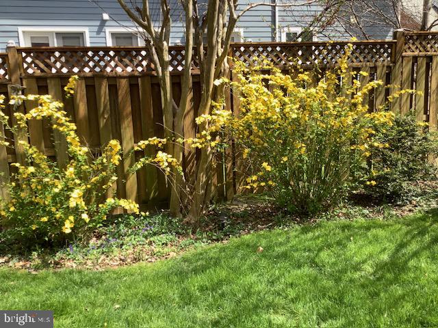 DAWSON TERRACE - Residential