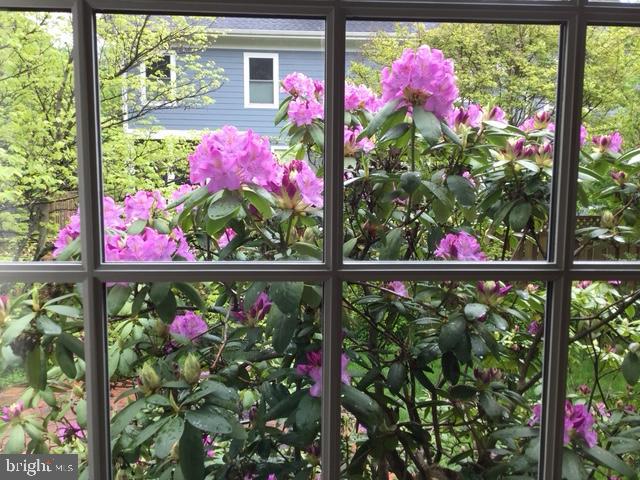 DAWSON TERRACE - Residential