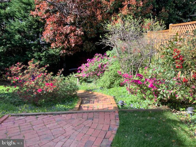 DAWSON TERRACE - Residential