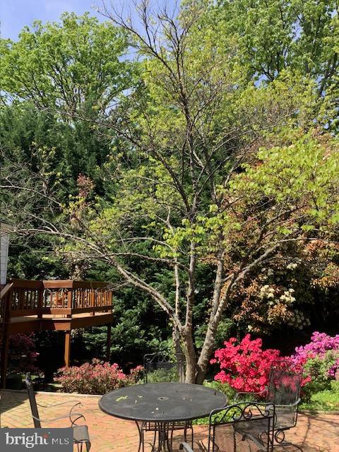 DAWSON TERRACE - Residential