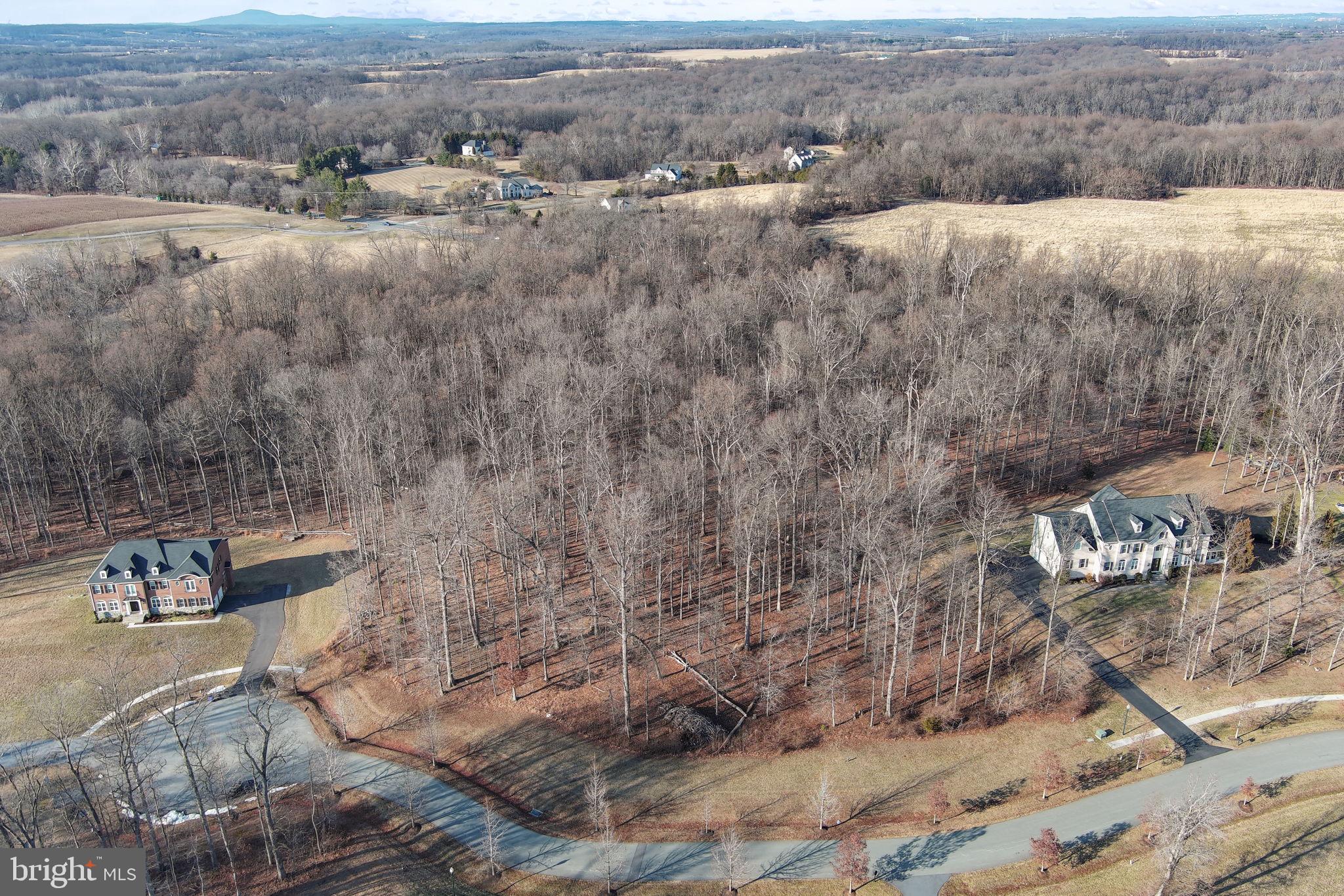 RESERVE AT BLACK ROCK - Land