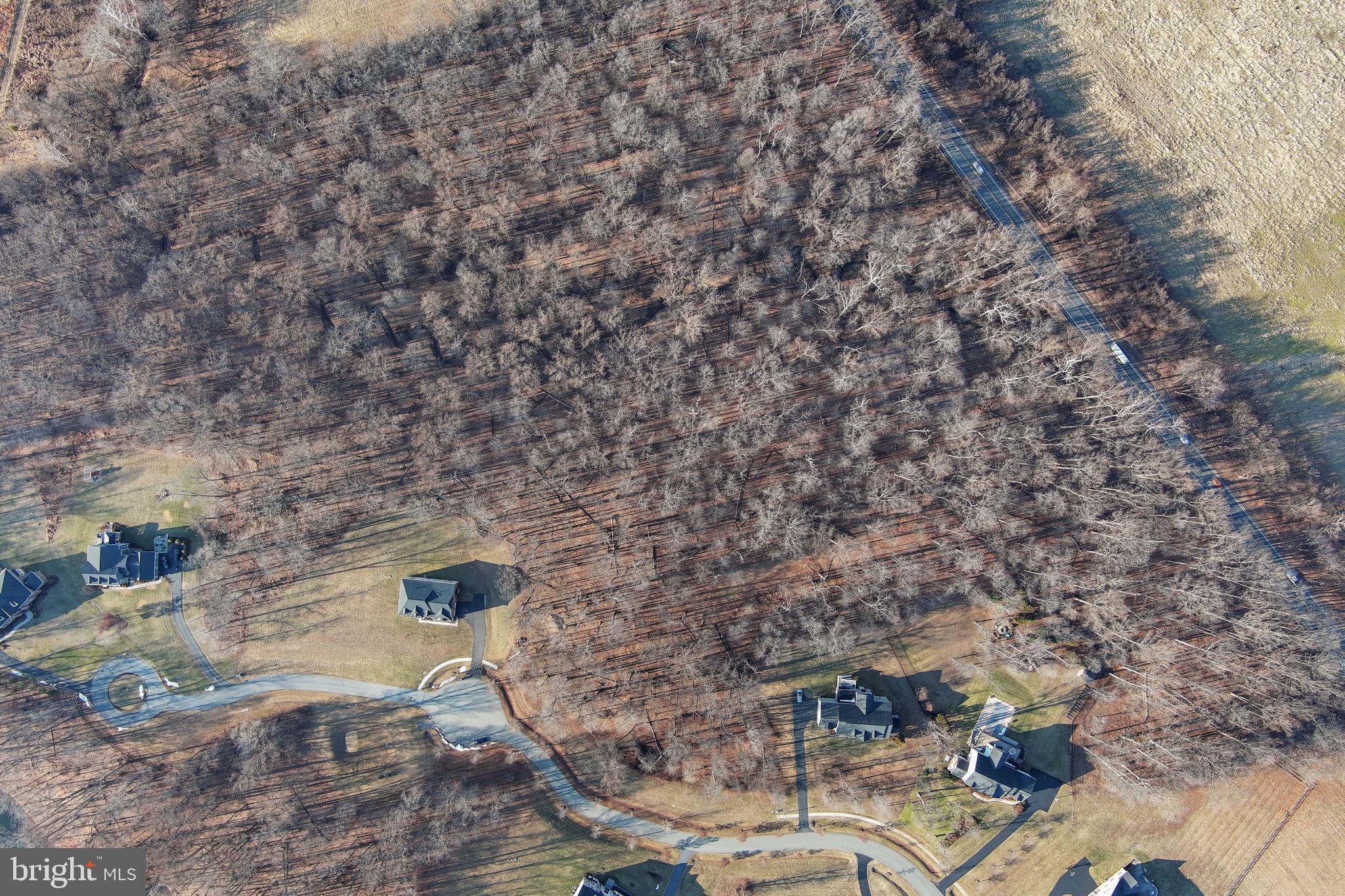 RESERVE AT BLACK ROCK - Land