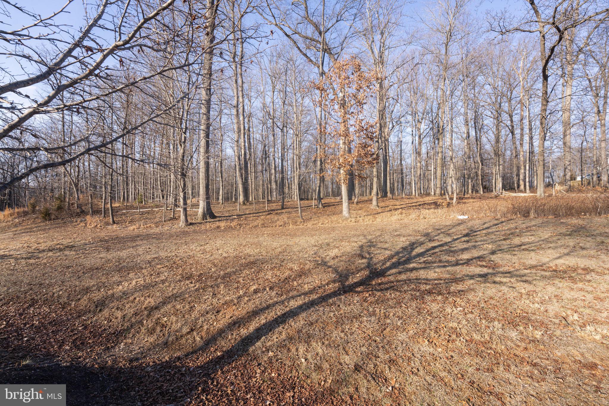 RESERVE AT BLACK ROCK - Land