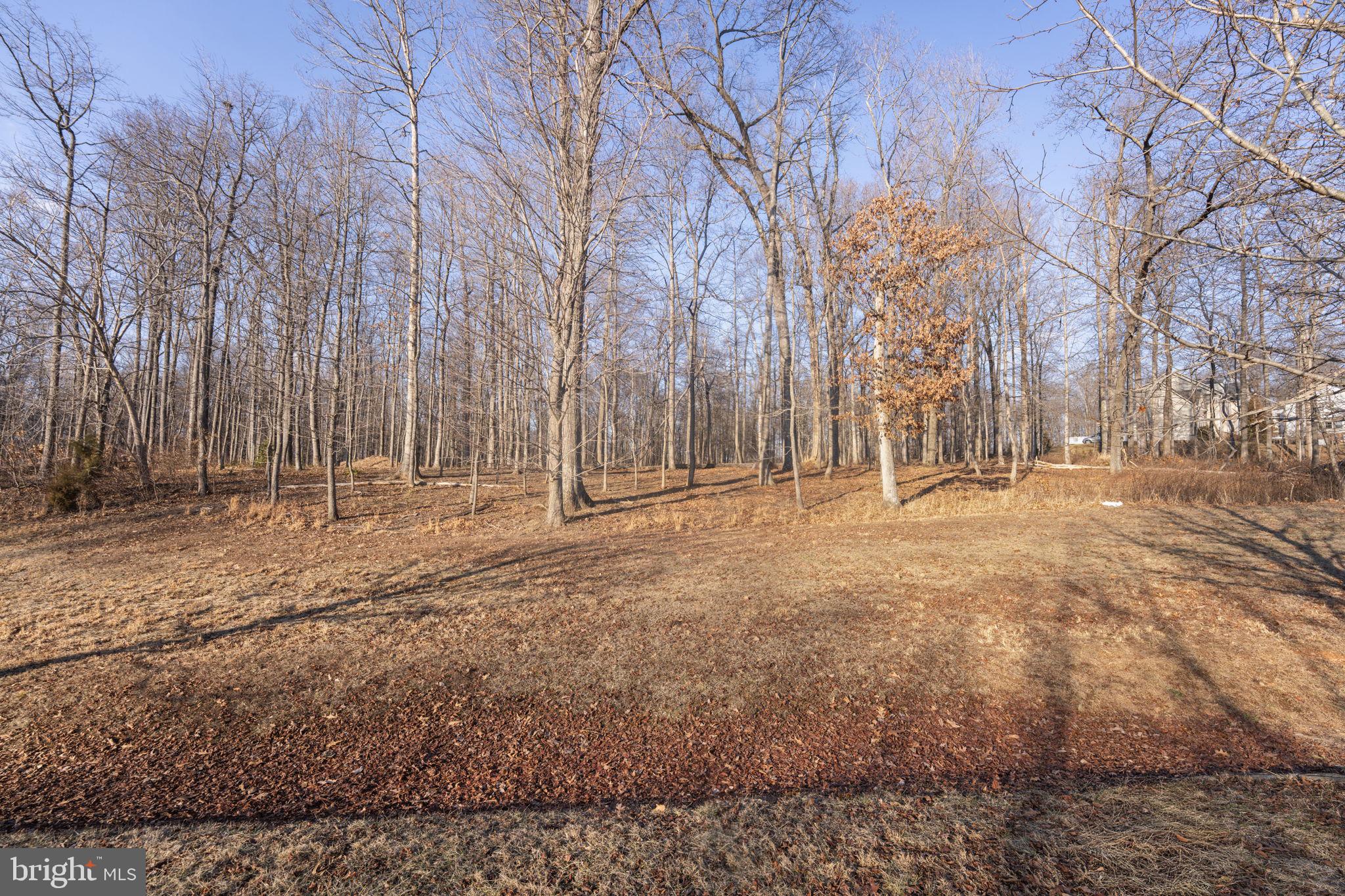 RESERVE AT BLACK ROCK - Land