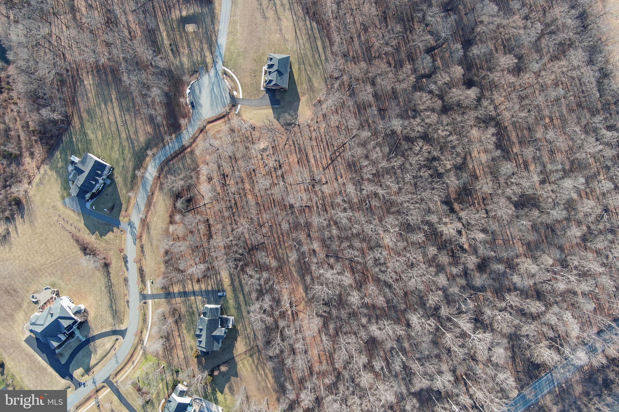 RESERVE AT BLACK ROCK - Land