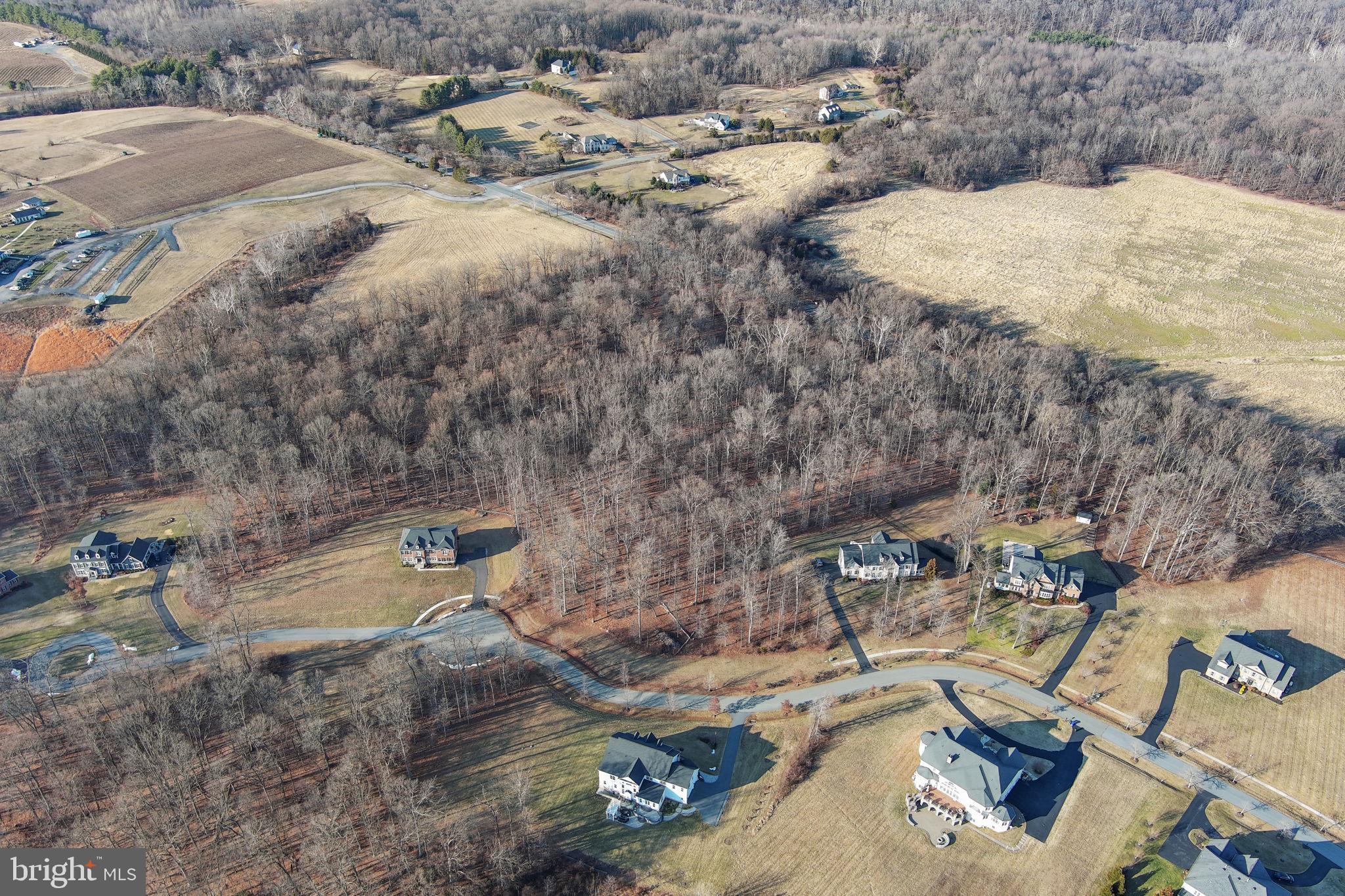 RESERVE AT BLACK ROCK - Land