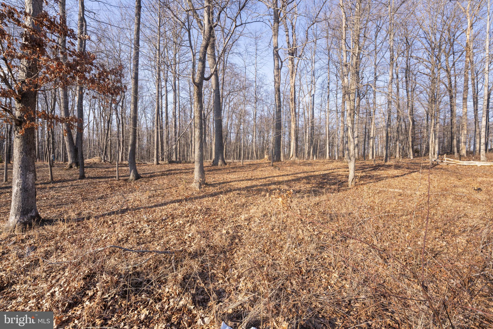 RESERVE AT BLACK ROCK - Land