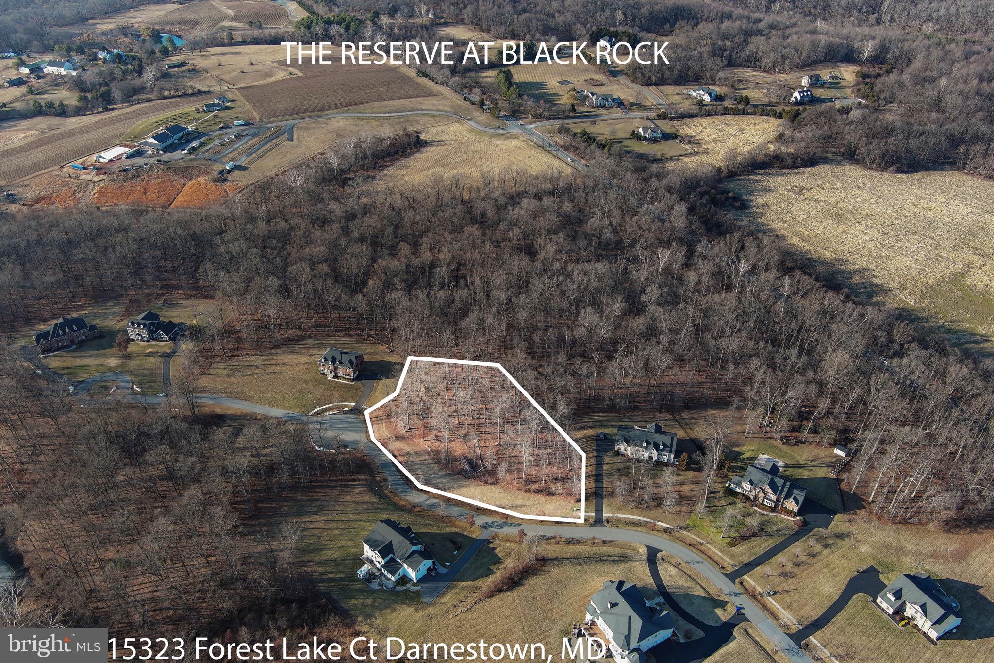 RESERVE AT BLACK ROCK - Land