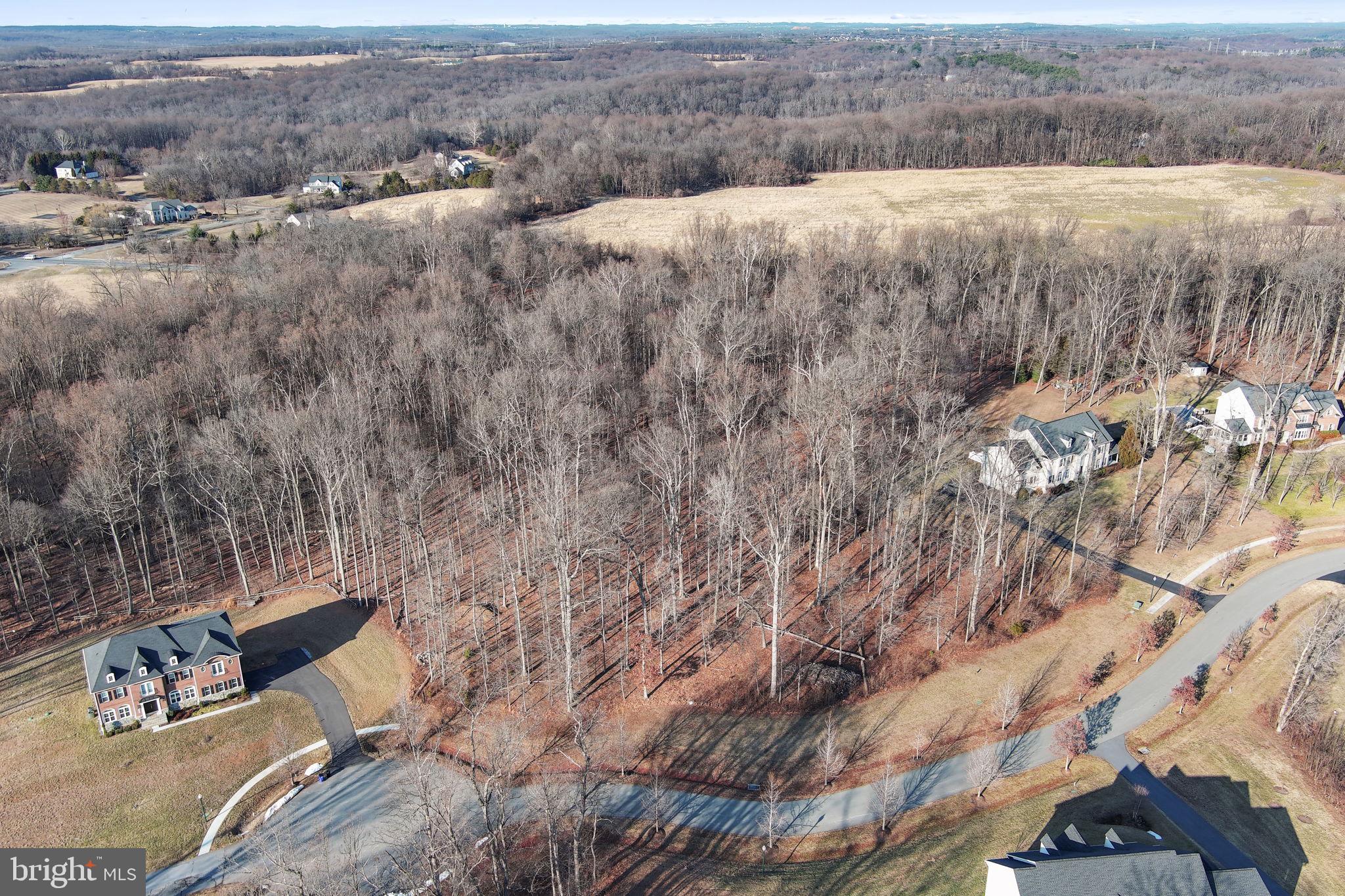 RESERVE AT BLACK ROCK - Land