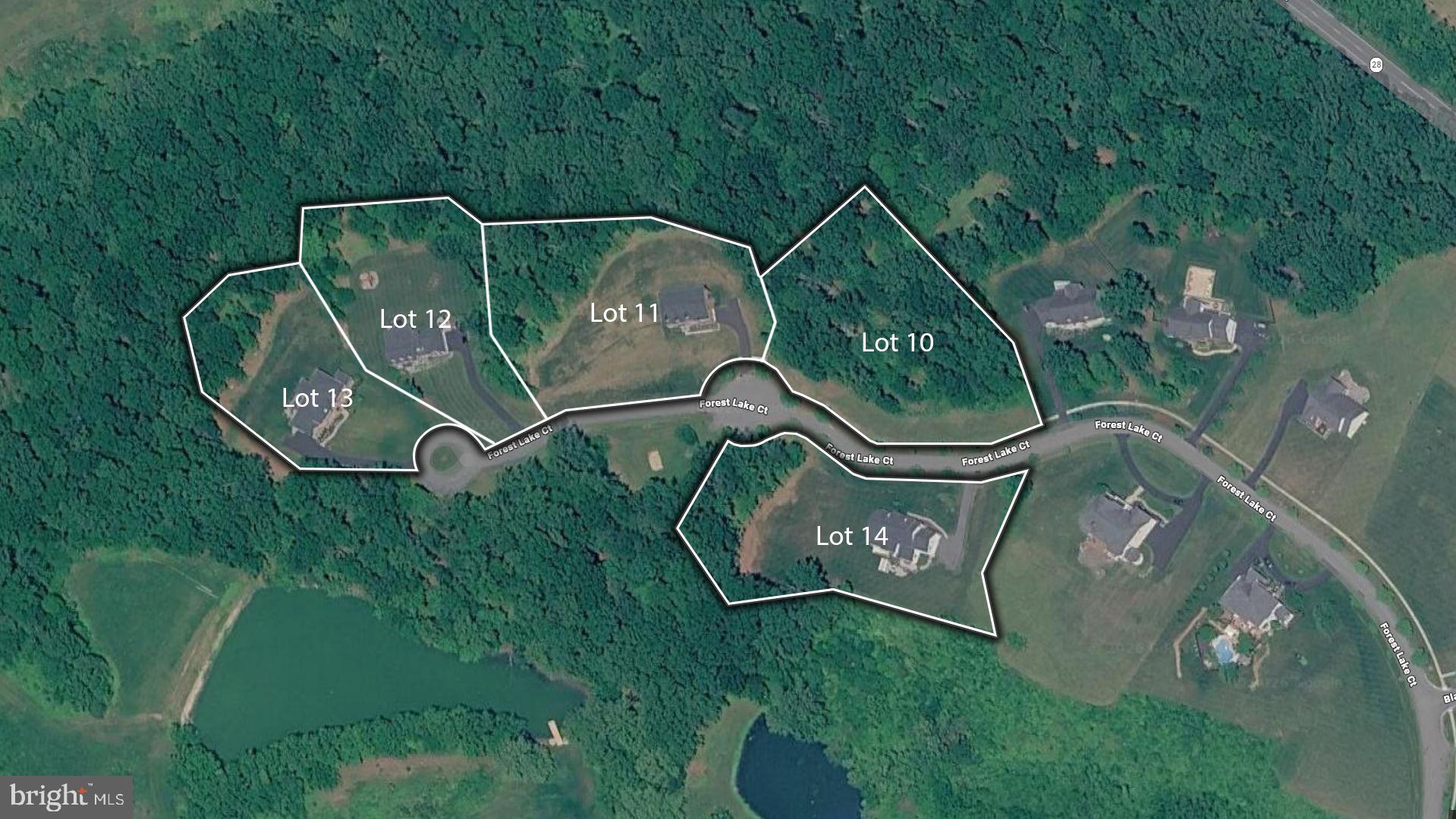 15323 FOREST LAKE COURT