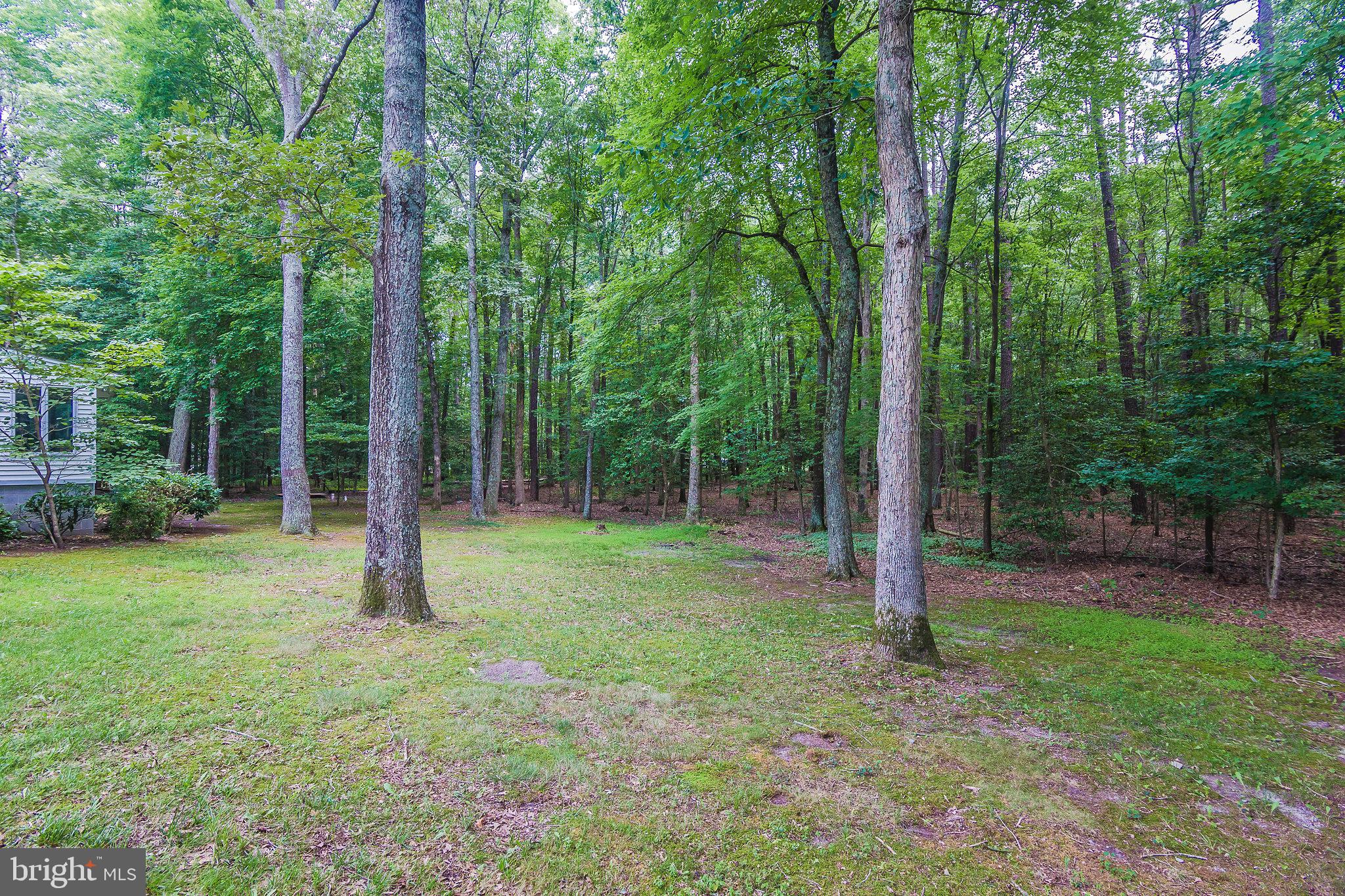 DEER HARBOUR - Residential