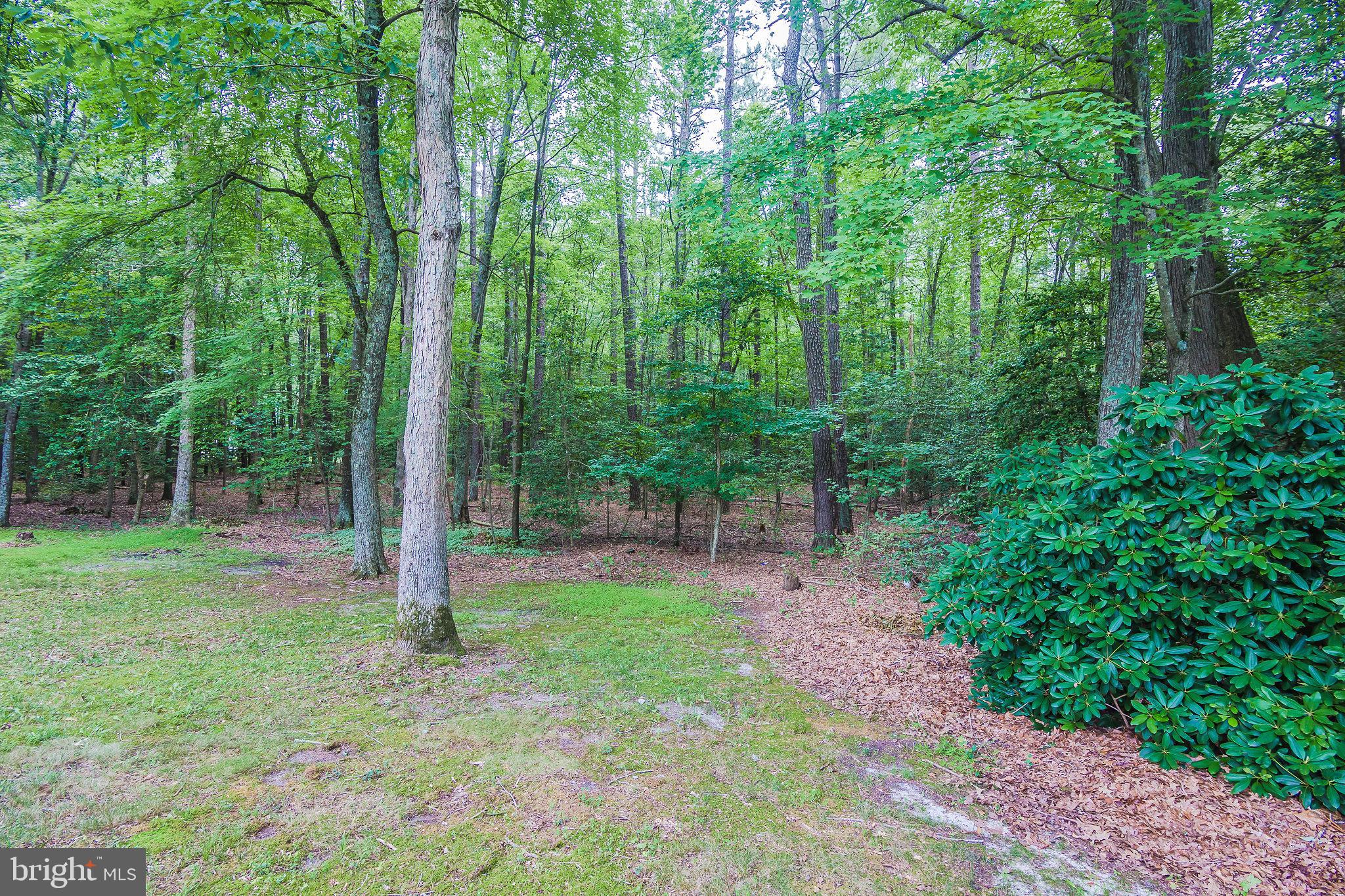 DEER HARBOUR - Residential