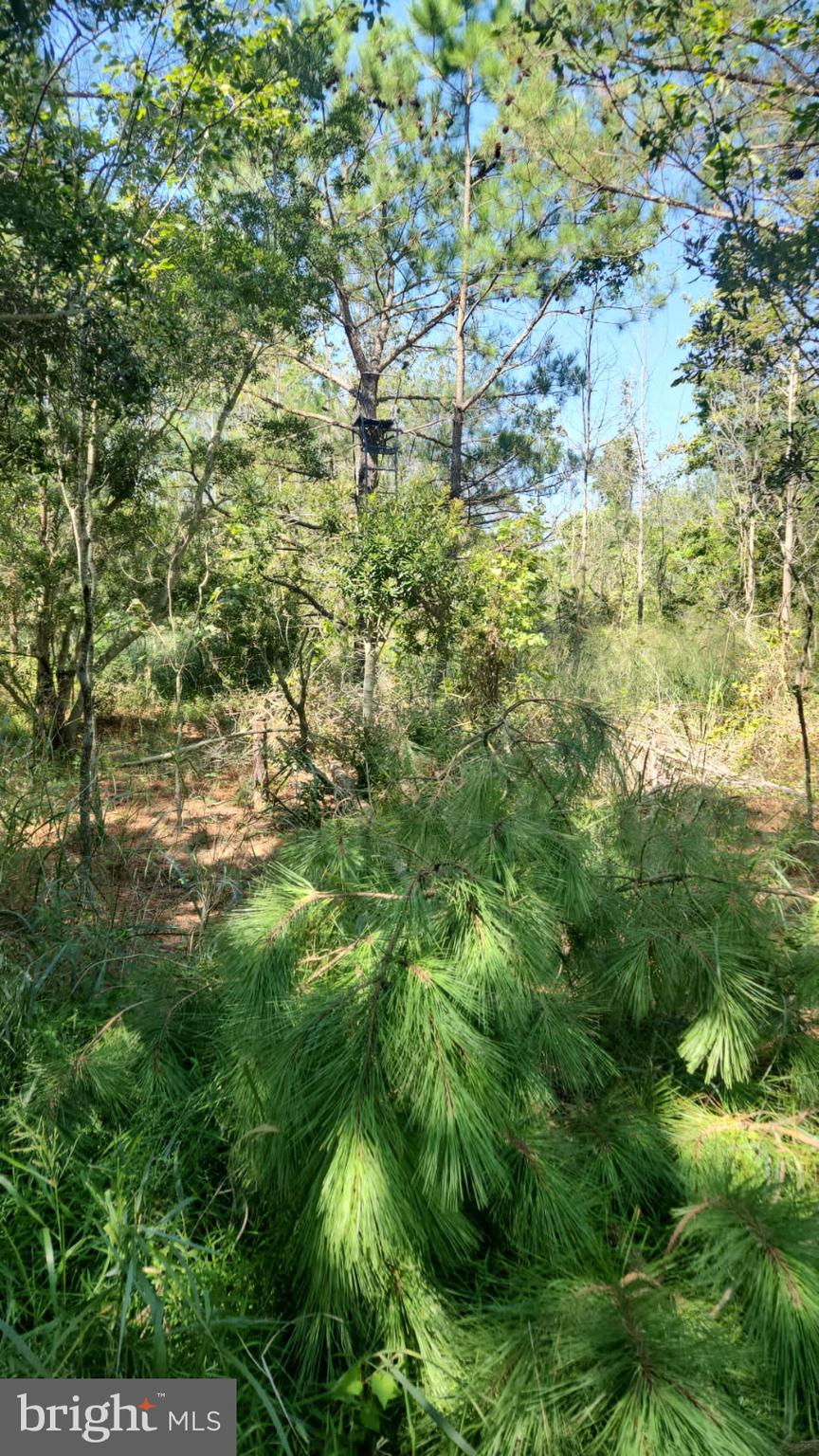 0 RILEY ROBERTS ROAD