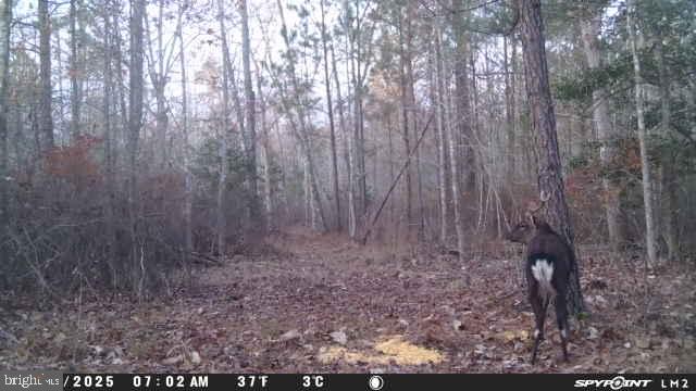 0 RILEY ROBERTS ROAD