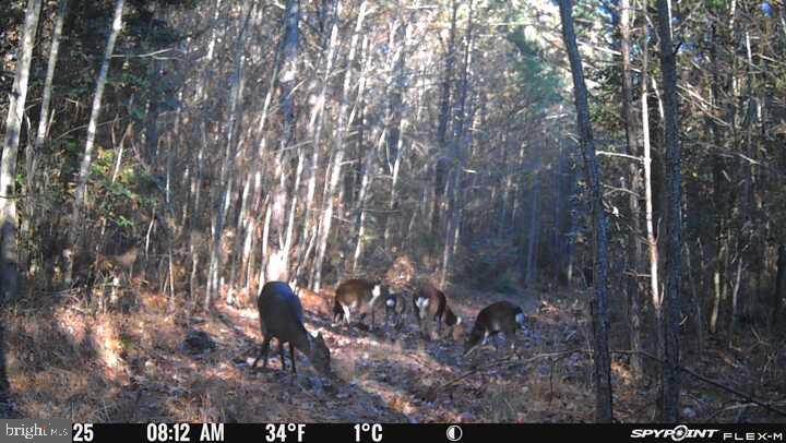 0 RILEY ROBERTS ROAD