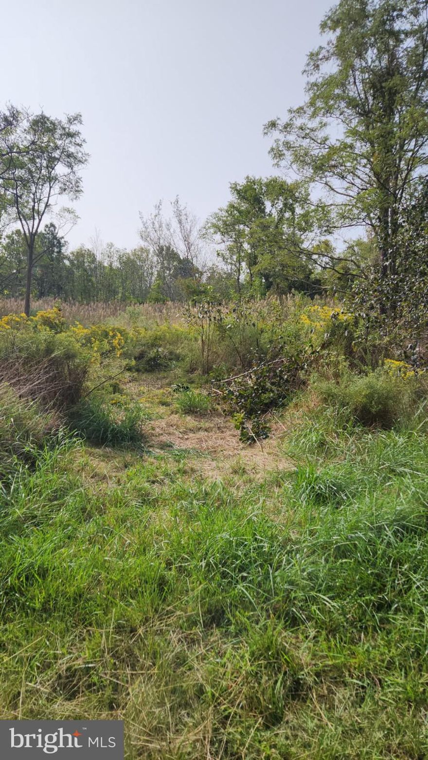 5.5  ac  easy acess  your own prive hunting preserve  or secluded getaway.
 sika deer white tails turkey and ducks ...  no perc on record,  buyer to verify. 
2 lots  tax id