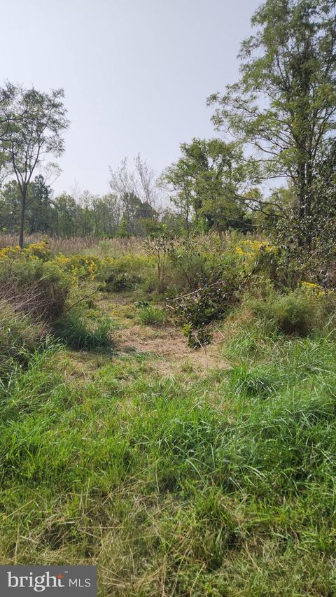 0 RILEY ROBERTS ROAD DEAL ISLAND MD 21821