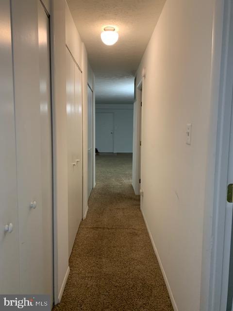 HOMELAND SOUTHWAY - Residential Lease