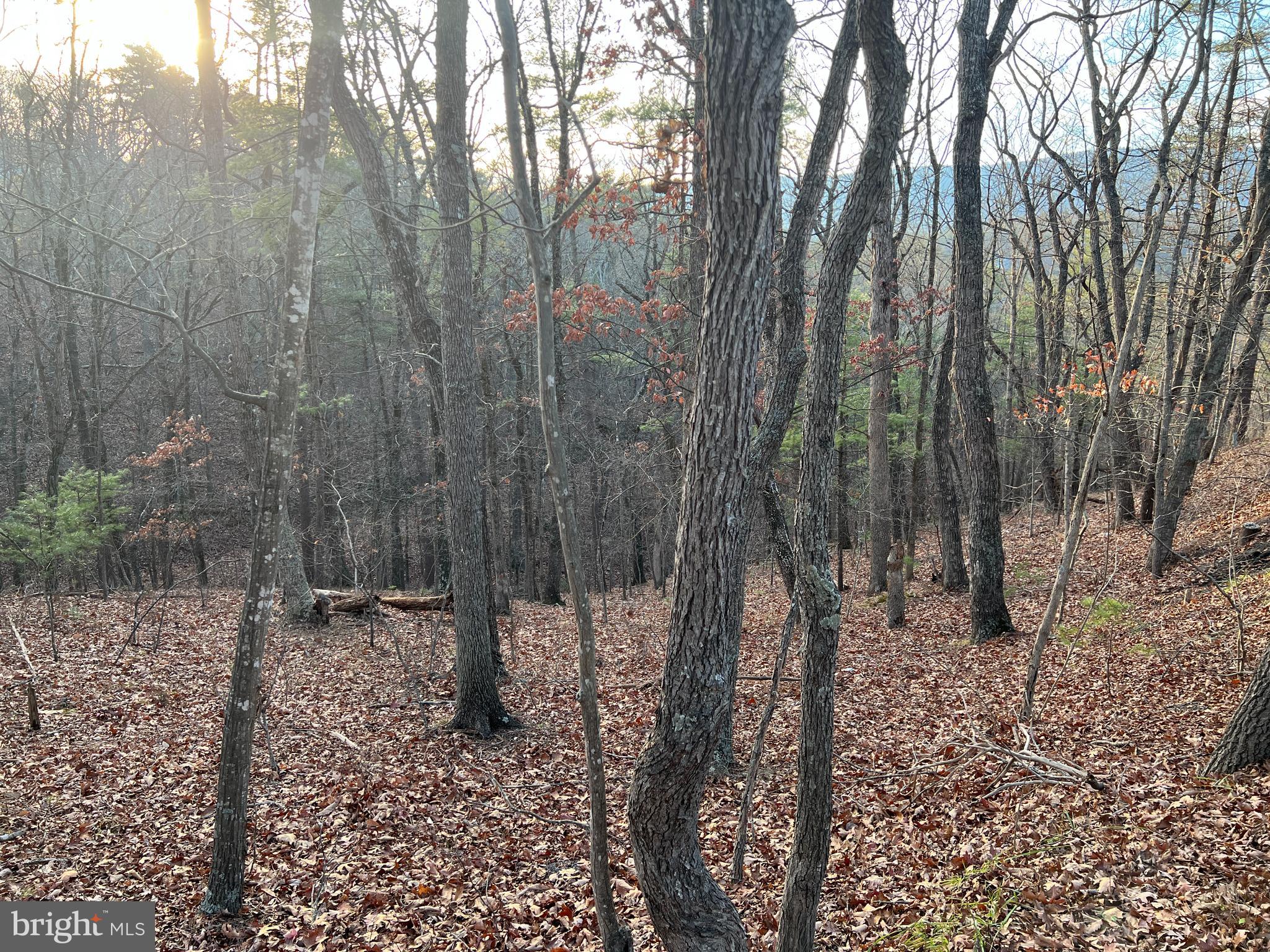 BRYCE  MOUNTAIN  RESORT - Land