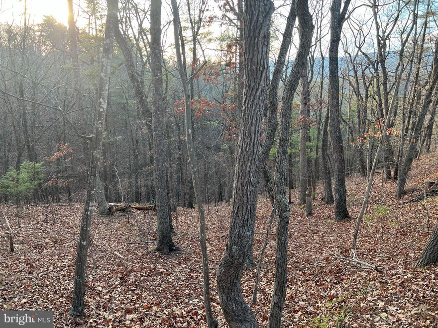 Location, location, location! This .60 acre lot is very close to Bryce amenities and offers a nice building opportunity for skiers, golfers and bikers. Public water and sewer are available and all utilities are underground. Bring your plans, your builder, your dreams and let's get started!