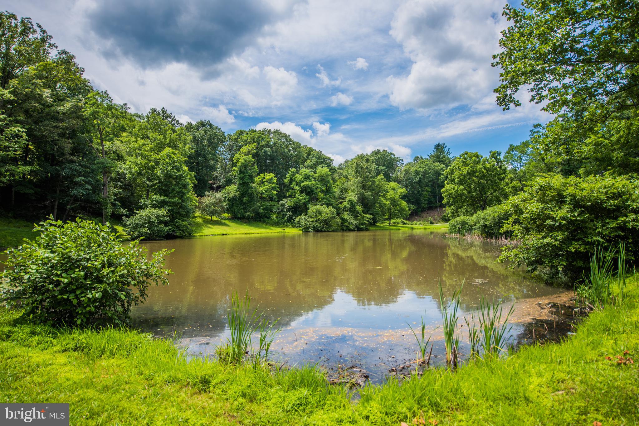COLONIAL VILLAGE - Residential
