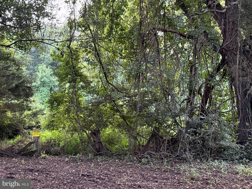 1.3670 acre lot in beautiful Derwood. Nestled on a quiet, tree lined street this spacious parcel provides a peaceful setting with mature surroundings while minutes from Olney and Rockville. You will find shopping, dining and commuter routes close by.  Around the corner from Lake Needwood and Lake Frank where you can hike, have picnics or rent a kayak, pedal boat, go on a pontoon tour or with a permit, put your own boat in and go fishing.  Buyers and Agents to do own due diligence.Selling "AS IS"  PLEASE DO NOT ENTER ANY STRUCTURES. THANK YOU!