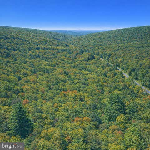 Vacant Land For Sale - LOT 170 Forest Ridge Trail Dr<br/> Shenandoah County, FORT VALLEY, VA 22652