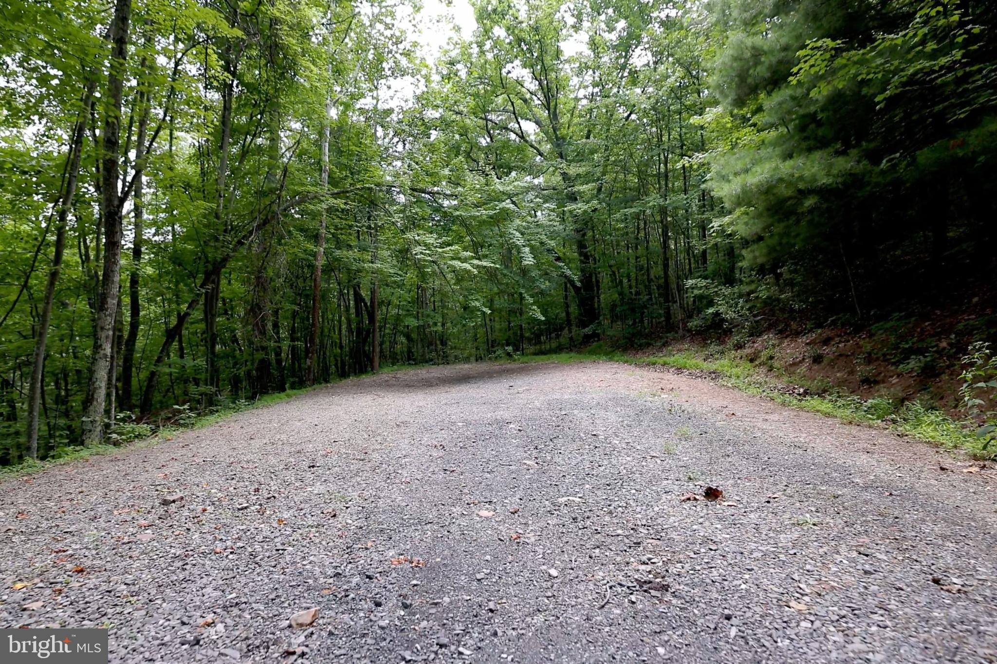 LOT 170 FOREST RIDGE TRAIL